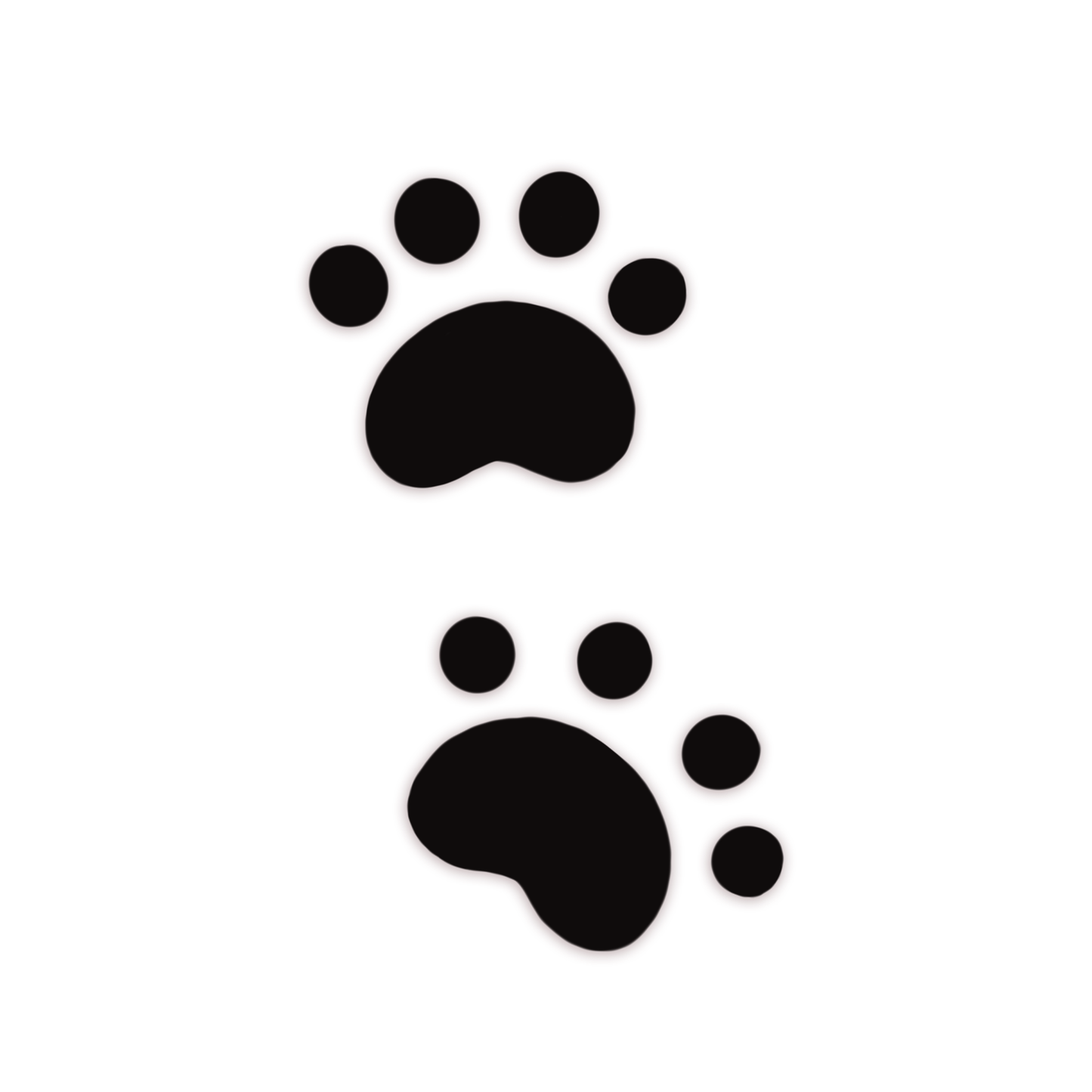 k1ttch3n Debut Matching Temporary Tattoo